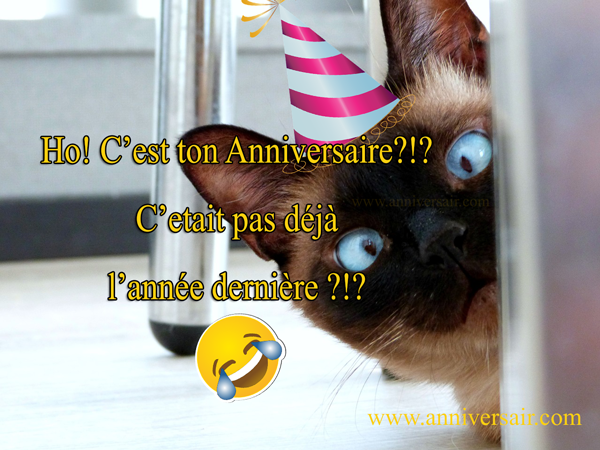 joyeux anniversaire humour image drôle pour anniversaire 