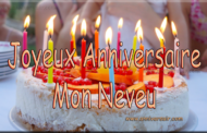 Joyeux anniversaire mon neveu ​