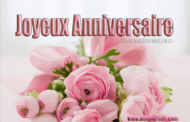 Je te souhaite le plus merveilleux des anniversaires