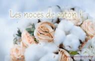 1 an de mariage: Les noces de coton