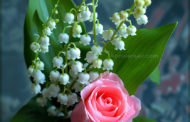 Joyeux 1er mai fête du muguet fête du travail